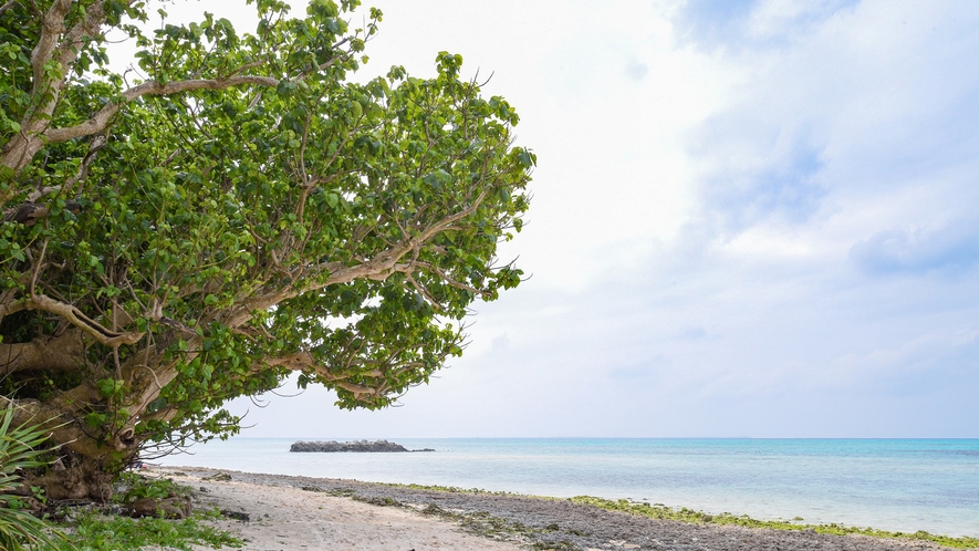 *カイジ浜：遊泳は禁止ですが、木陰もある美しい浜で、のんびりできます。