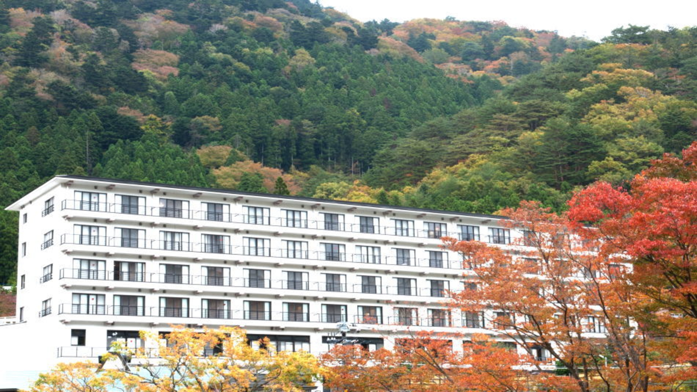 塩原温泉 塩原温泉ホテル 宿泊予約 楽天トラベル 塩原温泉 塩原温泉ホテル 宿泊予約 楽天トラベル