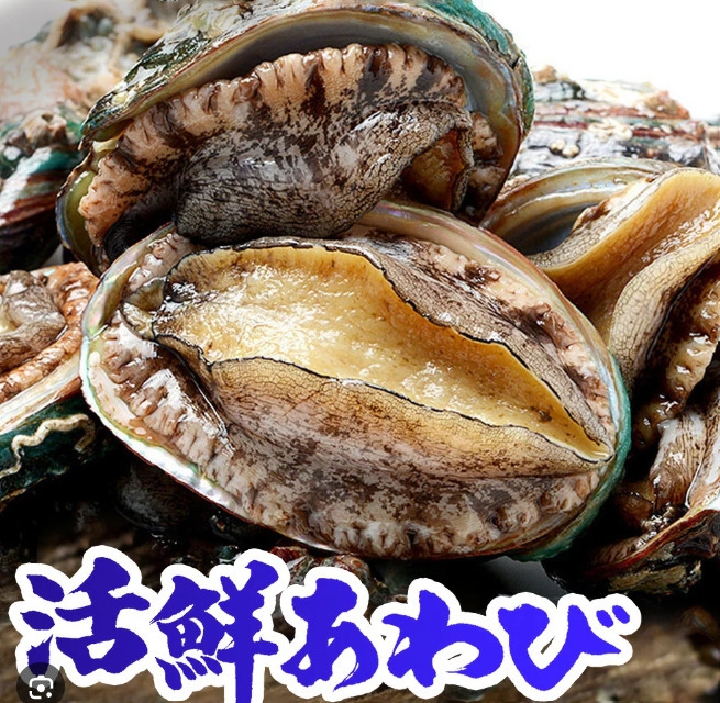 6月期間限定【贅沢海鮮ビュッフェア】アワビ＆蟹＆浜焼き＆舟盛り♪贅沢よくばりプラン1泊2食