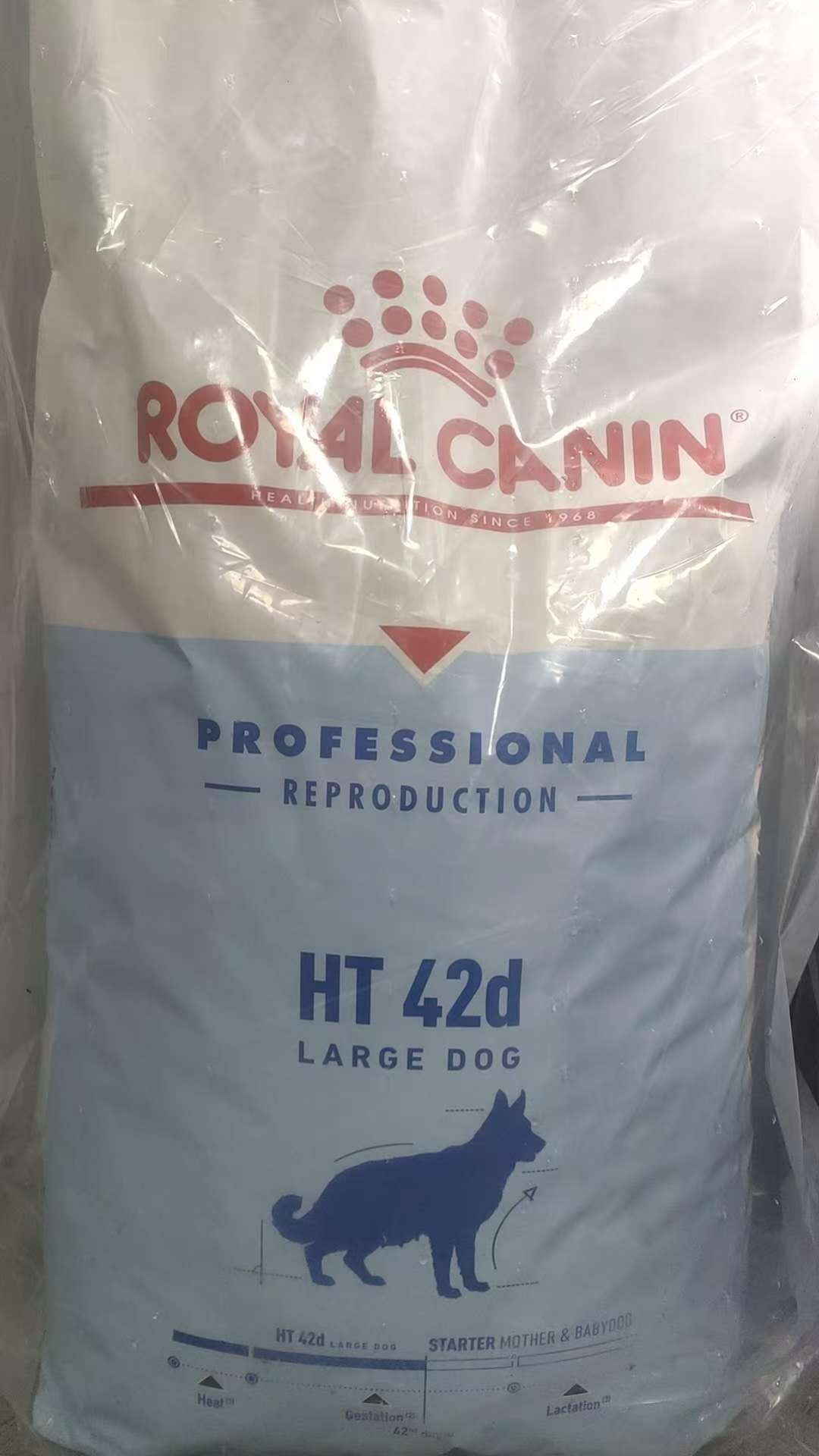 近隣のペットホテルに