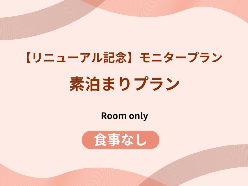 【リニューアル記念】モニタープラン〈素泊プラン〉