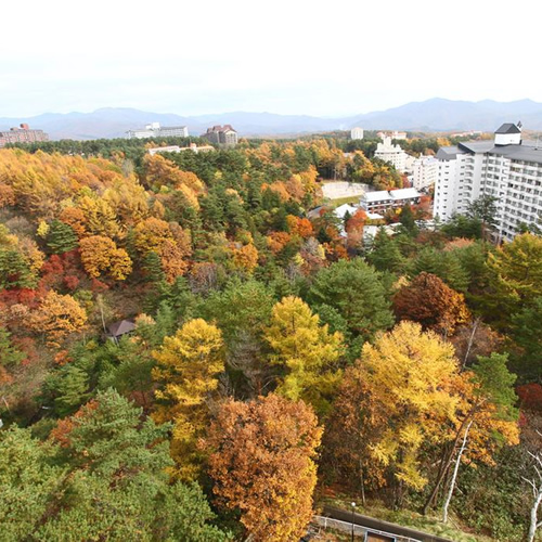 客室からの眺望