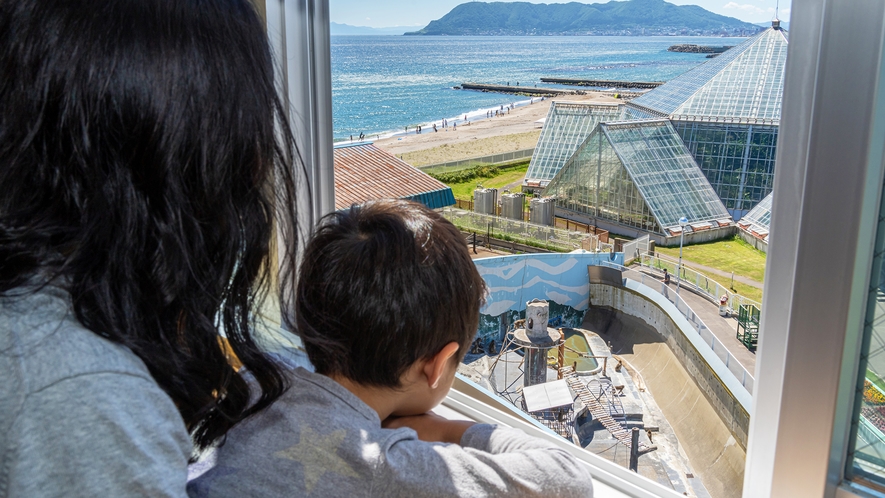 一部客室では、熱帯植物園のサル山が見られることも。「おサルさんジャンプしたよ！」お子さまも大興奮！