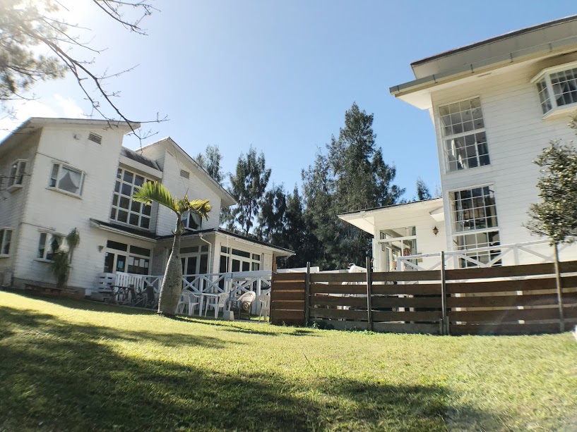 ペットと泊まれるゲストハウス pets okinawa 旧リゾートペンションhowdy 宿泊予約 楽天トラベル