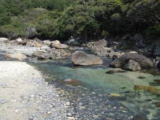 西部林道（川）