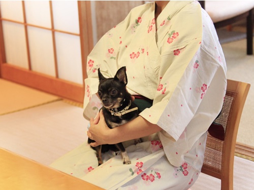 犬御殿 箱根仙石原温泉 森のあかり 写真 動画 楽天トラベル