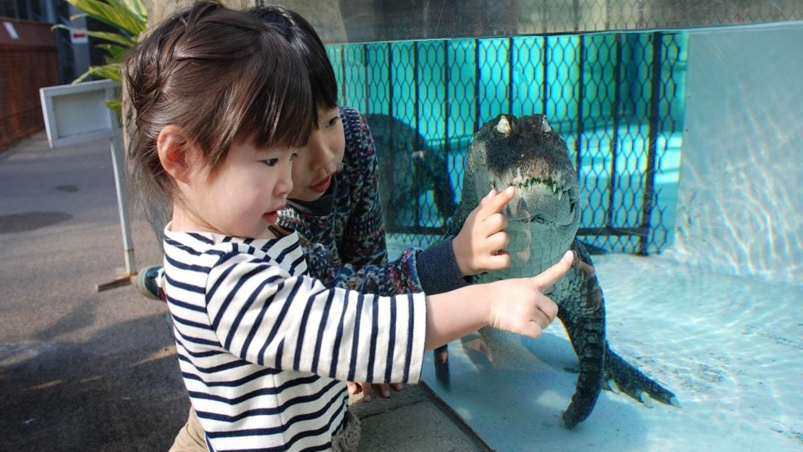 大変お得な【熱川バナナワニ園チケット】付きプラン