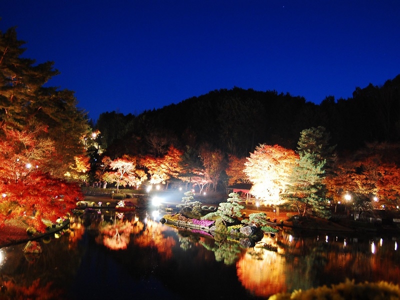 〜伊豆の秋観光特集〜秋は紅葉!!飲み放題付きプラン