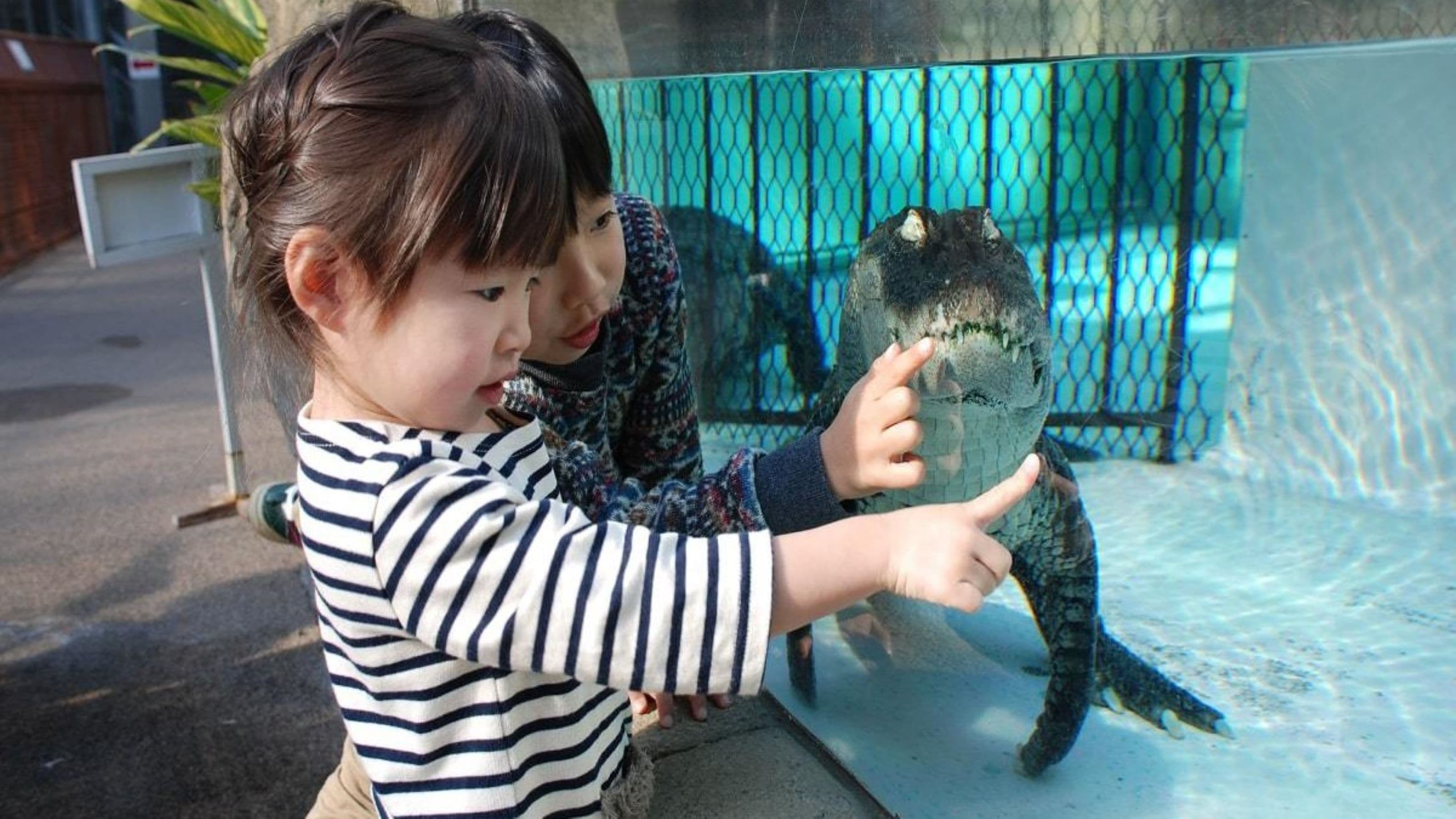 熱川バナナワニ園