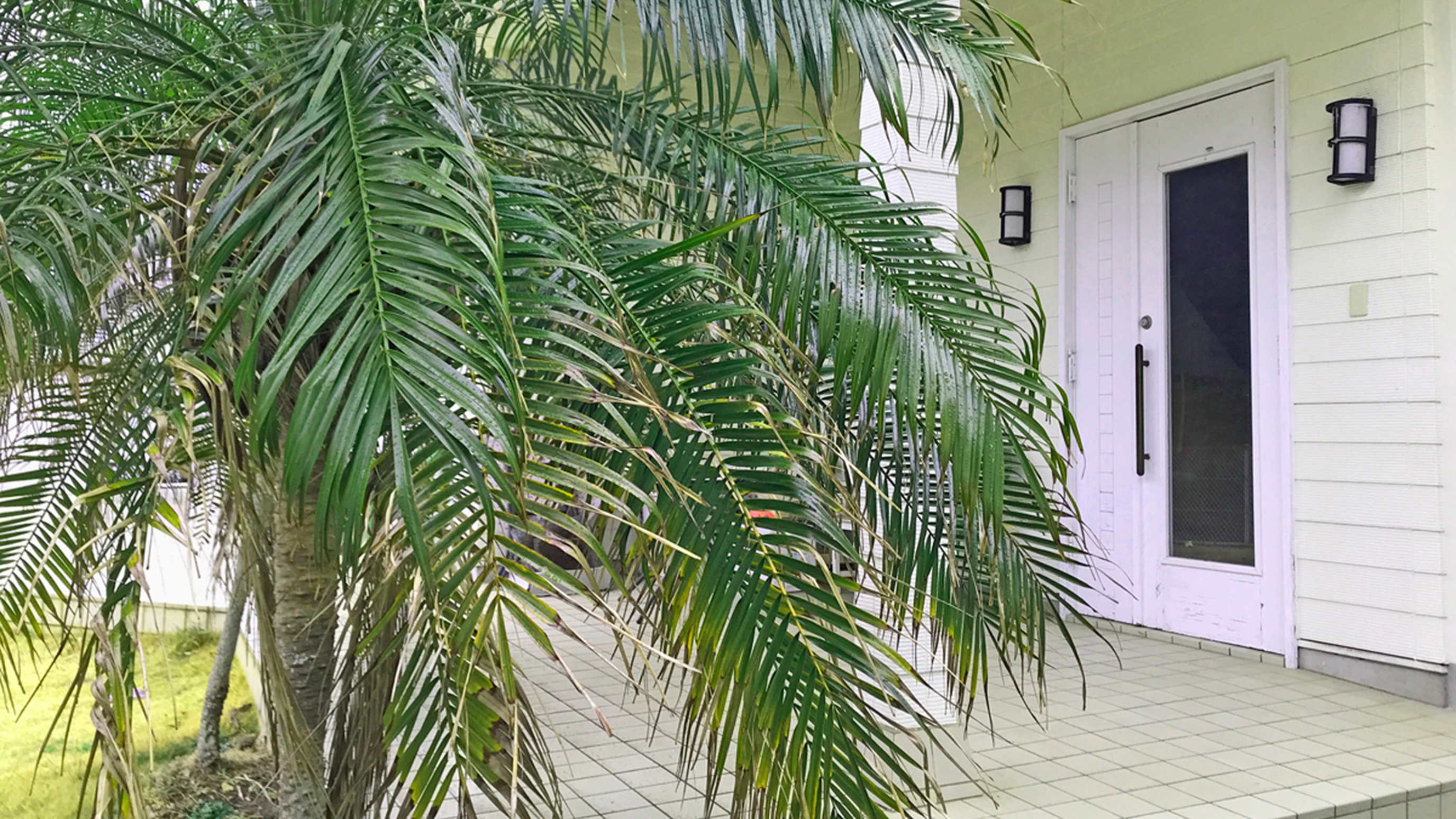 ペンションスマイルアゲイン 写真 動画 楽天トラベル ペンションスマイルアゲイン 写真 動画 楽天トラベル