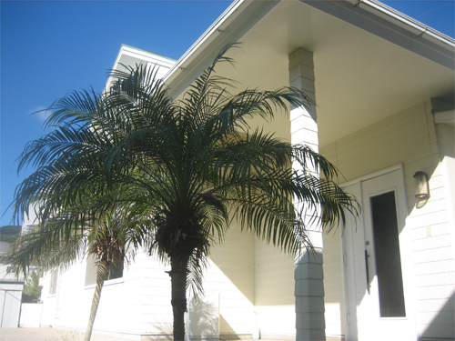 ペンションスマイルアゲイン別館 宿泊予約 楽天トラベル ペンションスマイルアゲイン別館 宿泊予約 楽天トラベル