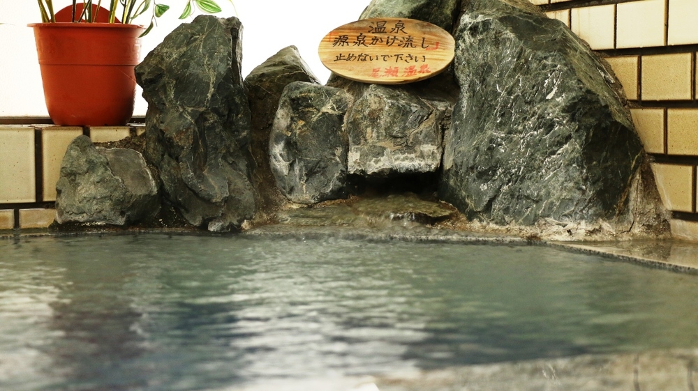 【エコ泊素泊り】アメニティなしでお得に♪持ち込みOK♪で気軽に宿泊　源泉かけ流し温泉を満喫