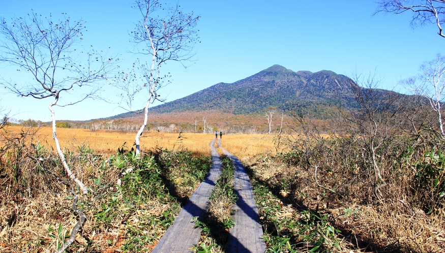 【尾瀬国立公園】秋の風景