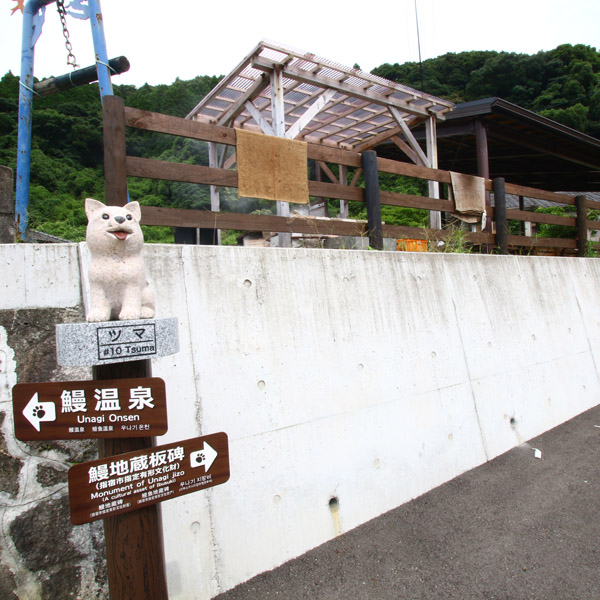 宿の近くにある公共のスメ広場です。自分で蒸すこともできますよ☆