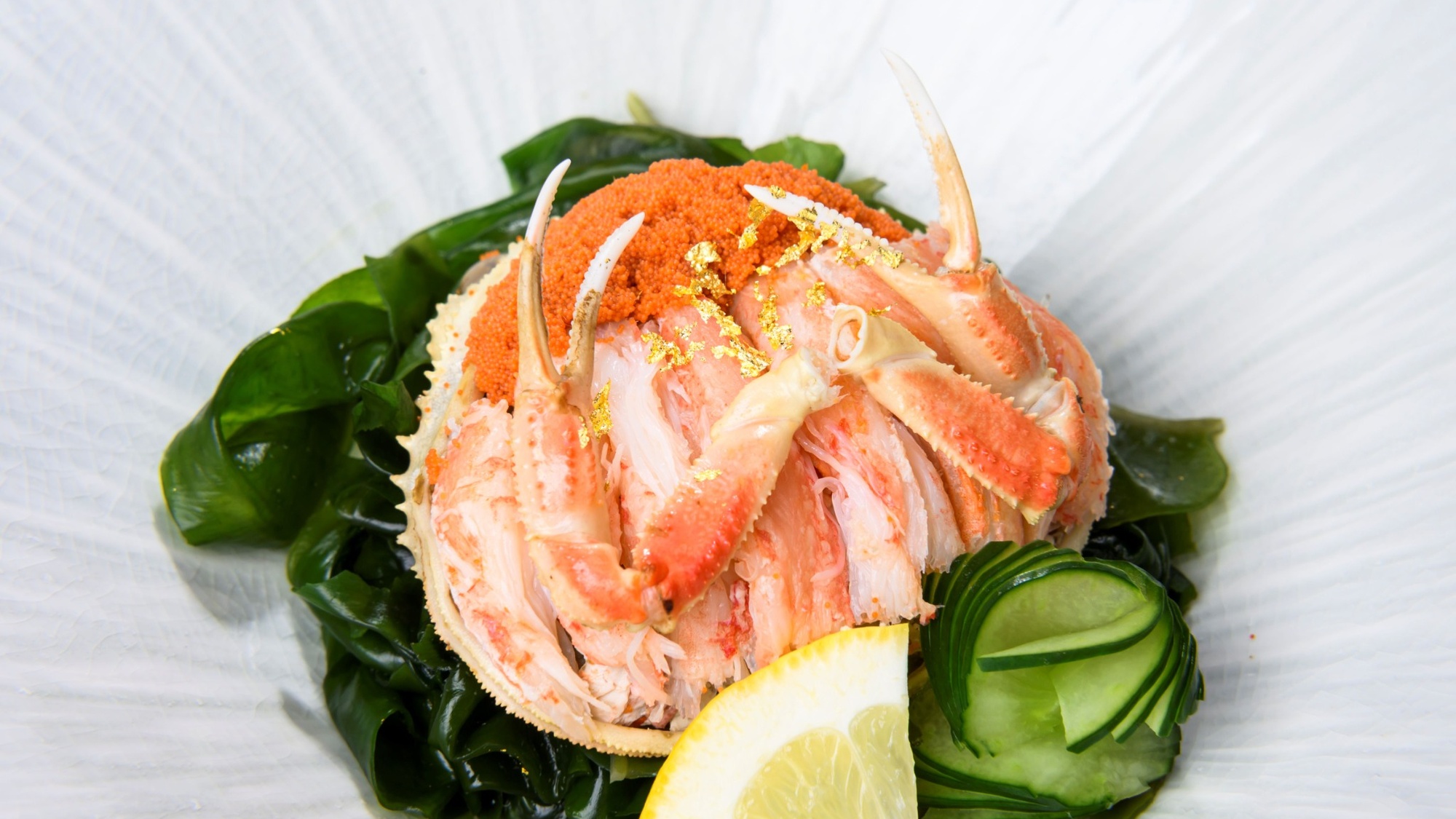 「冬彩 -TOUSAI- 」2025　イメージ