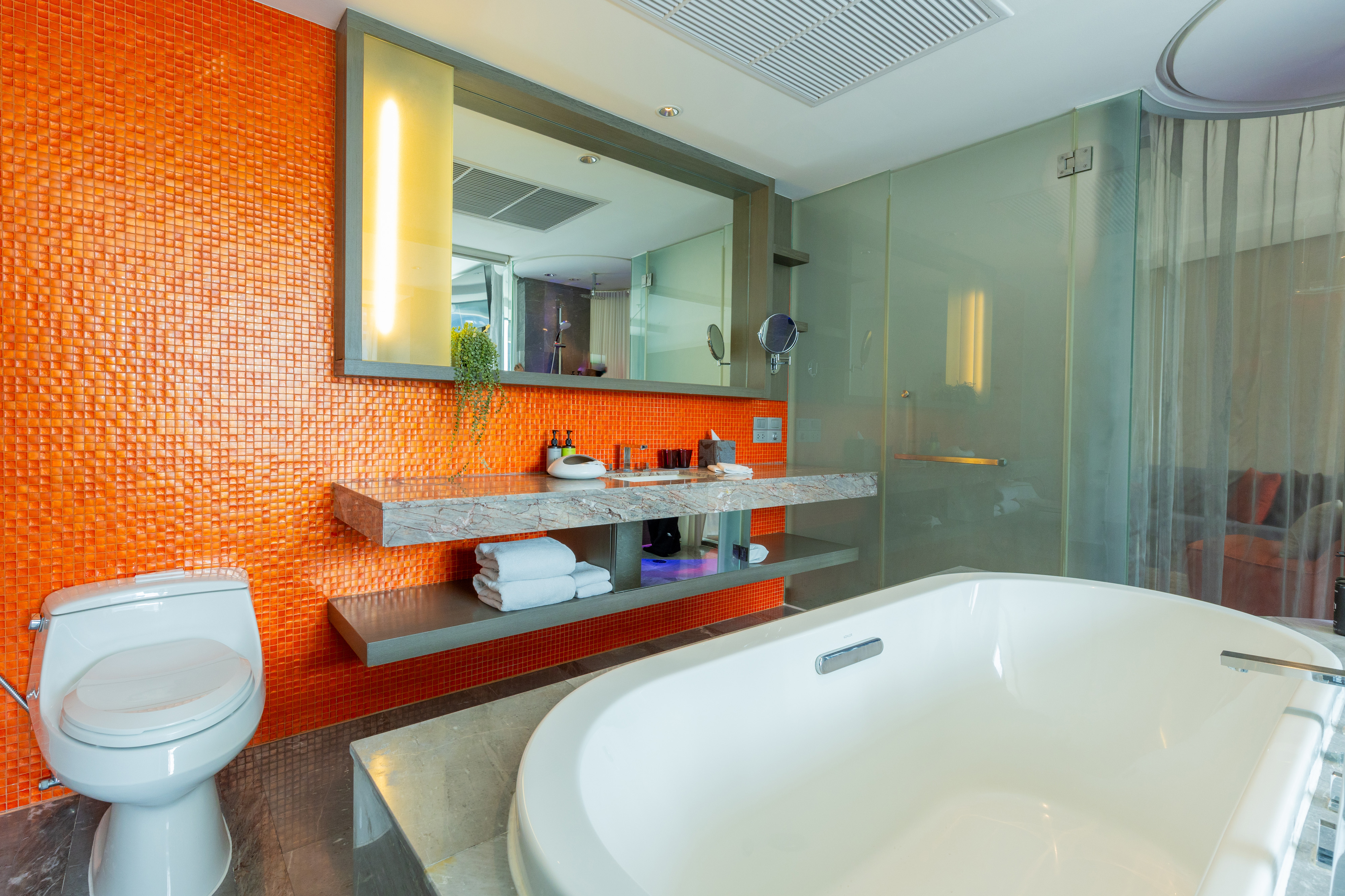 Full Spectrum Suite - bathroom