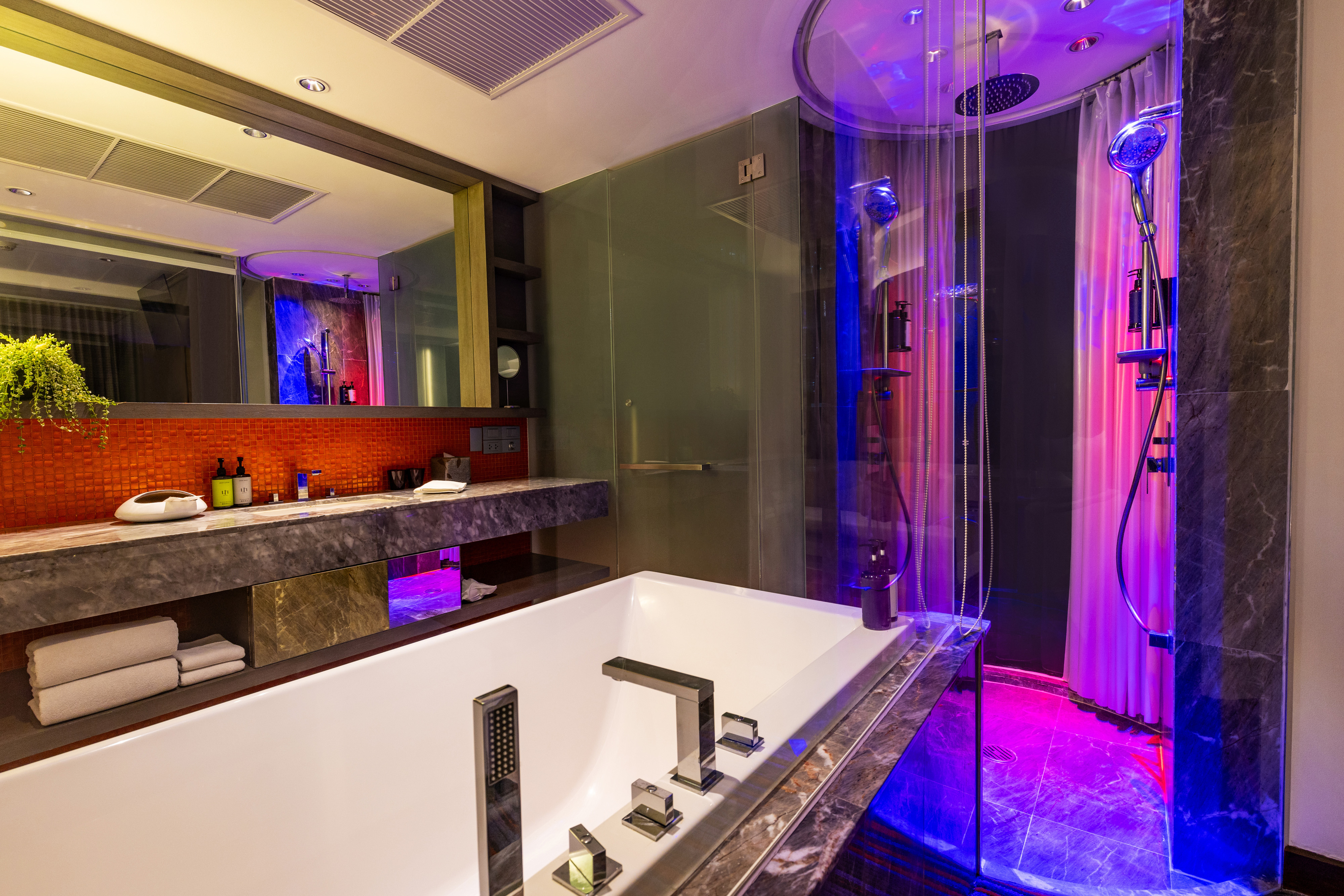 Full Spectrum Suite - bathroom