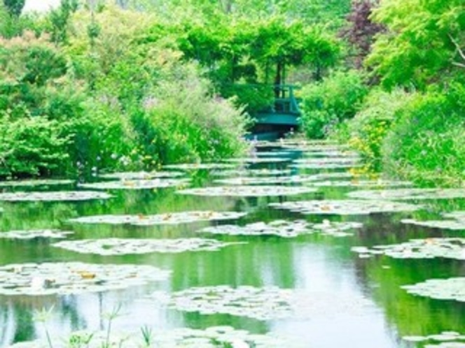 『モネの庭』水の庭