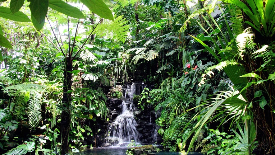 【牧野植物園②】温室