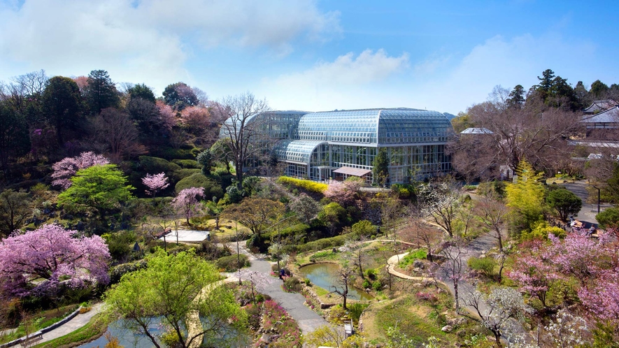 【牧野植物園①／当ホテルより車で約40分】温室外観