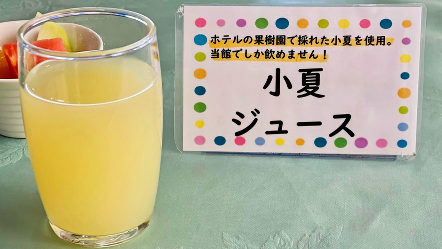 【朝食】ビタミン満点小夏ジュースは朝の目覚めにぴったり！