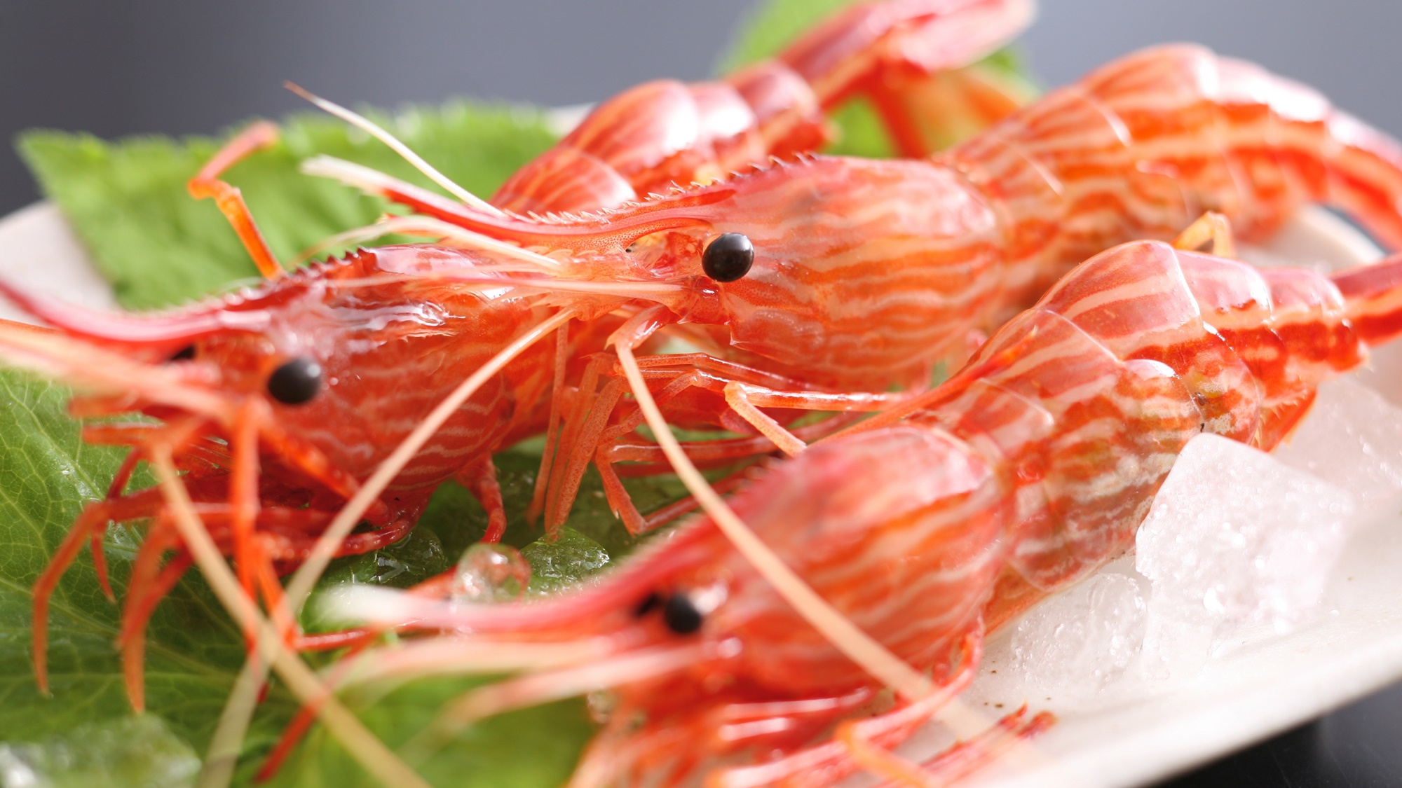 【ツアラー】集合！バイクや車で旅する貴方に！バイカー★人気プラン※現金特価※