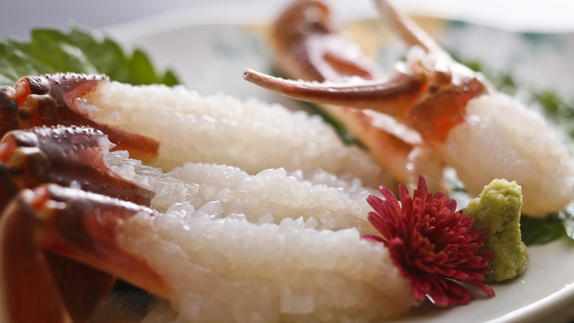 カニを食べるならやっぱり冬★プチフルコースずわいがに〜お得に冬の味覚を♪