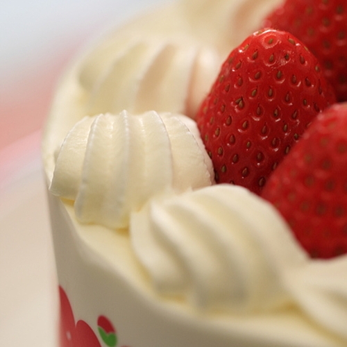 【バレンタイン】ケーキ付＆季節の会席料理と源泉掛流しの温泉で過ごす箱根旅（2食付）