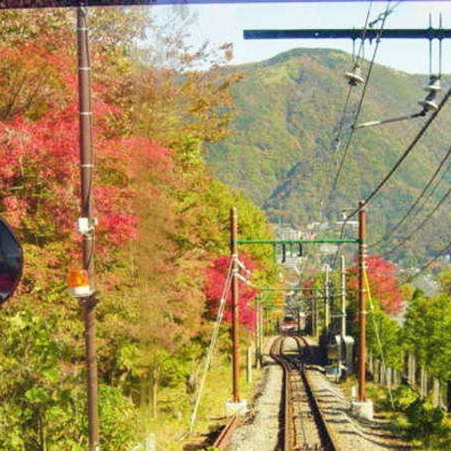 ～箱根登山線～日本有数の紅葉名所でもあります「箱根」にお越しください。