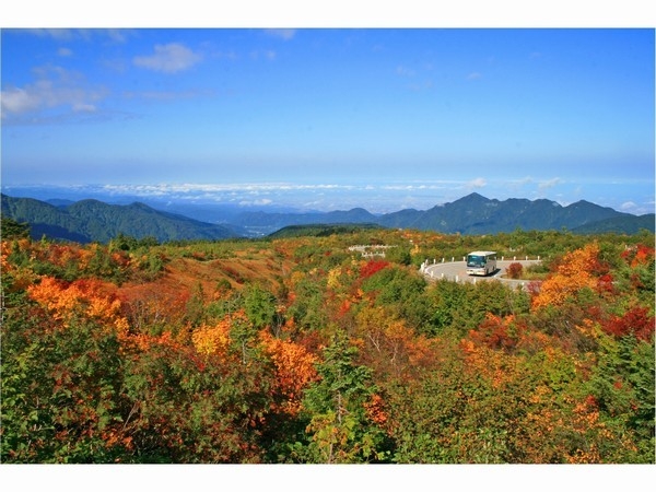 ≪アルペンルートご利用の方おすすめ！≫立山駅の送迎付きプラン！【1泊2食】暦会席