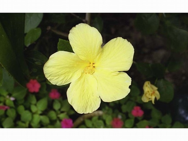 ゴールデンウイーク【朝食付】プラン（バス・トイレ共同）二泊以上からの受付