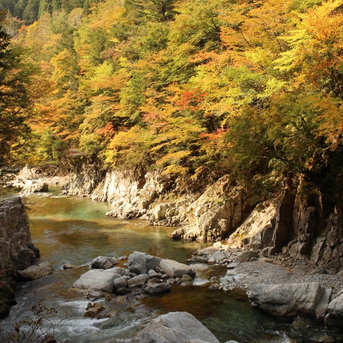 ◆【馬瀬川の紅葉】馬瀬川に沿ってドライブがおすすめ