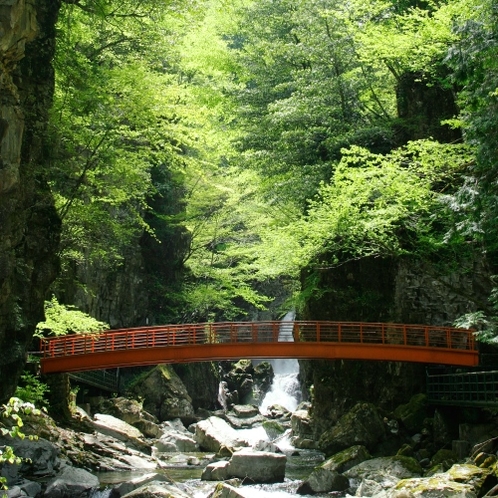 ◆【滝見遊歩道】滝見遊歩道を歩いてリフレッシュ