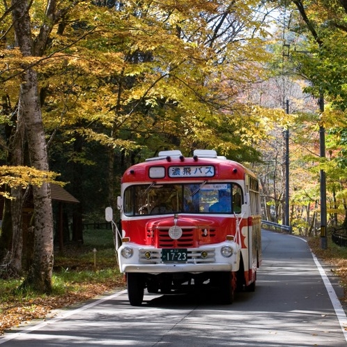 ◆【ボンネットバス「馬瀬川号」】新緑や紅葉の馬瀬川沿いを巡る