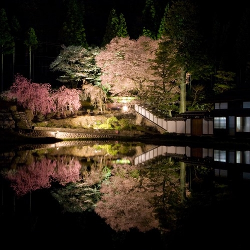 ◆【宮谷の桜】古民家と桜のコントラストが美しい