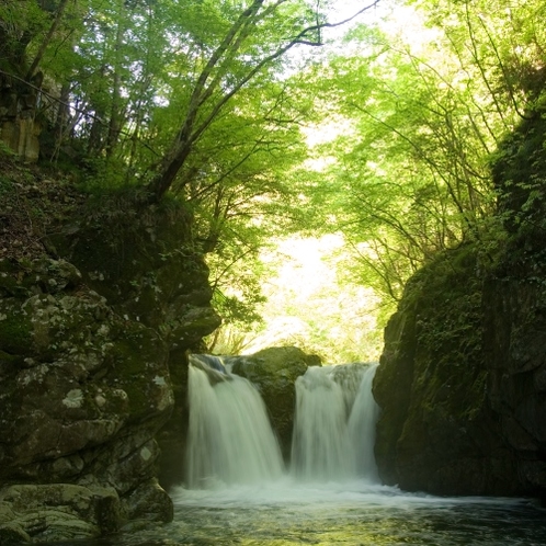 ◆【新緑の三ツ滝】新緑の滝めぐり