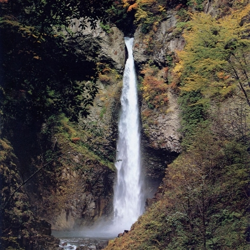 ◆【根尾の滝】落差63m、日本の滝百選のひとつ
