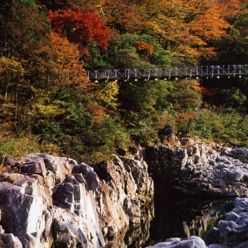 ◆【中山七里の紅葉】美しい景色を見ながらのドライブ