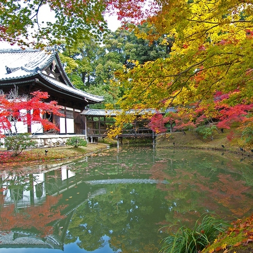 〓期間限定〓　季節の京会席、高台寺拝観券の特典付プラン （2食付）