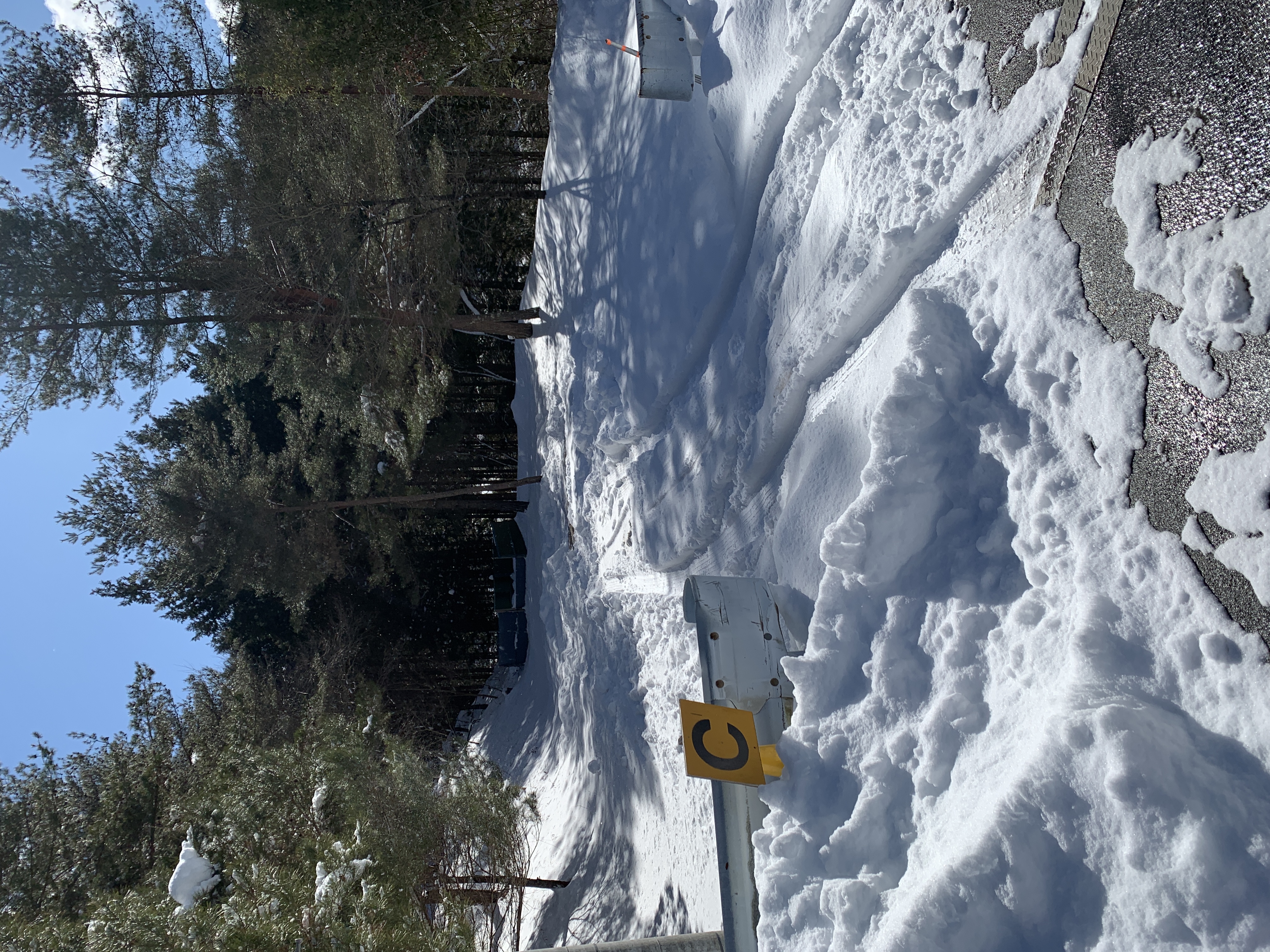 冬のキャンプサイト（ｃサイト）