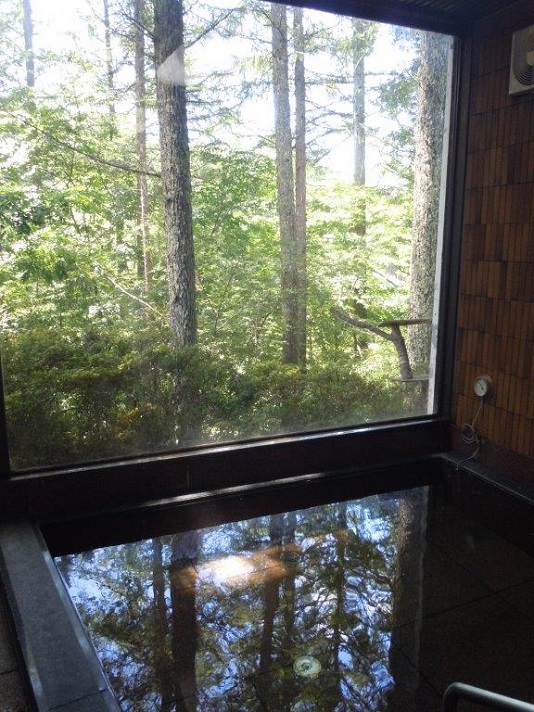 温泉からは林がみえます