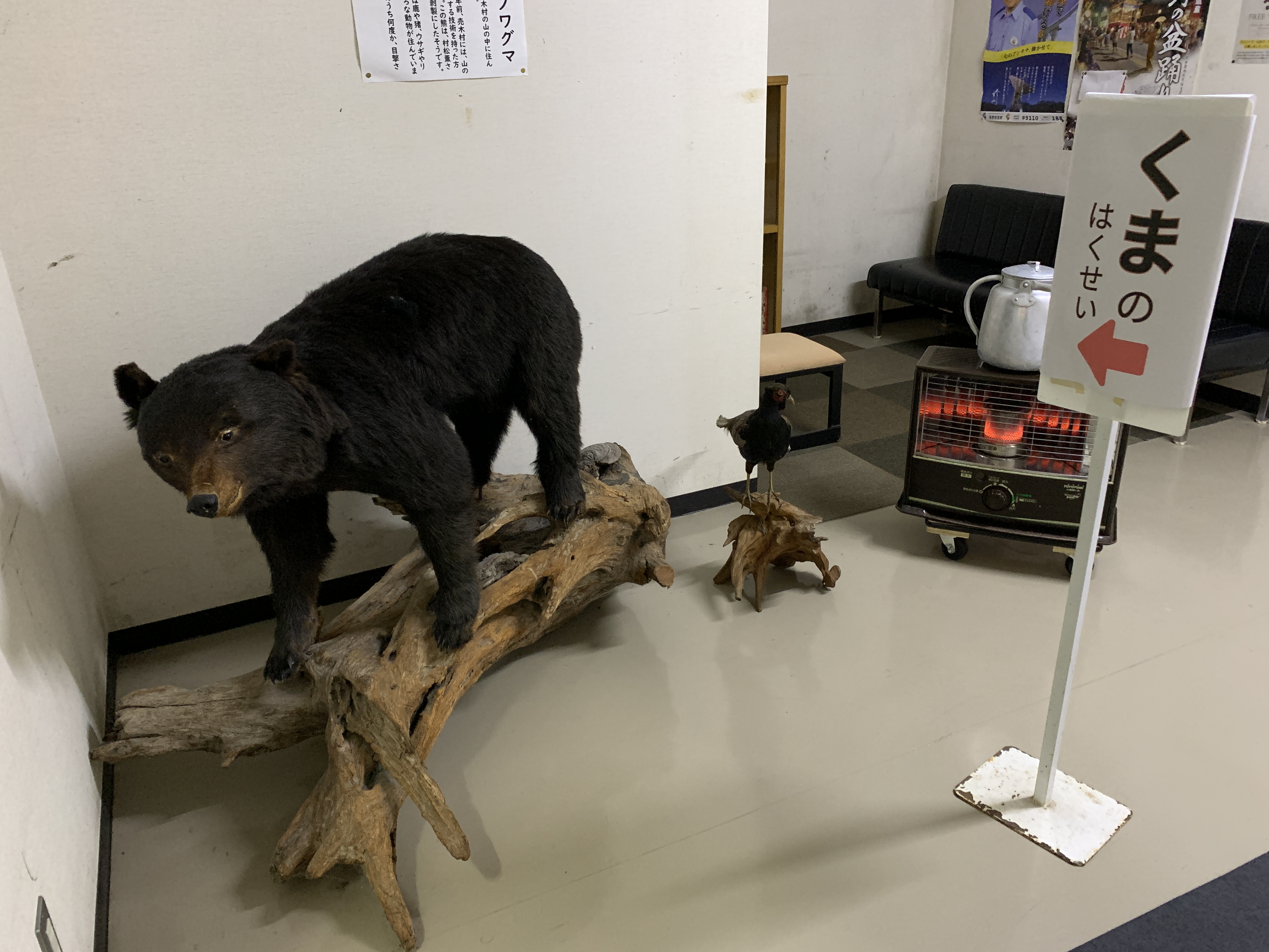 くまのはくせい