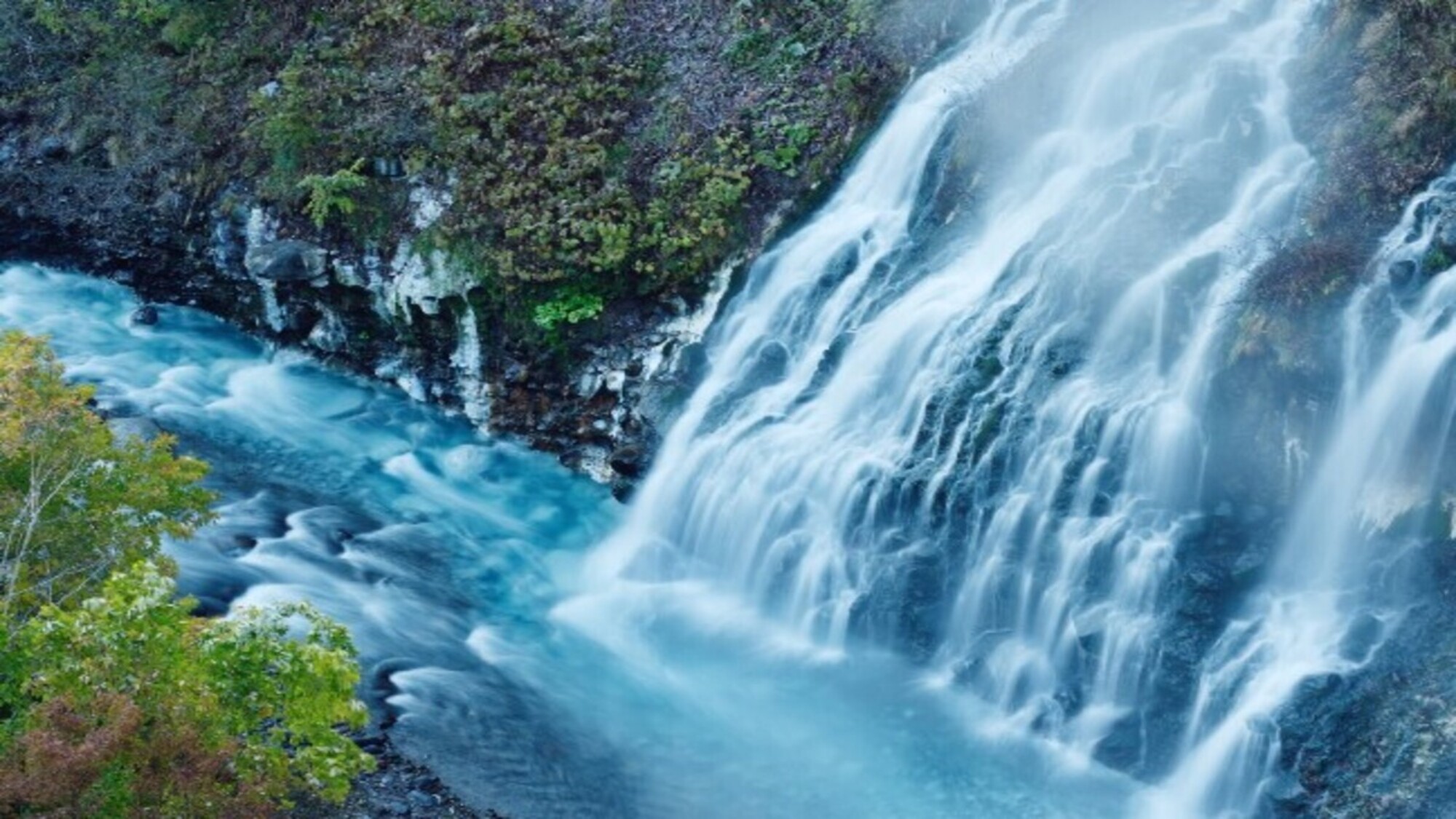 【事前決済限定/早割】Room Only