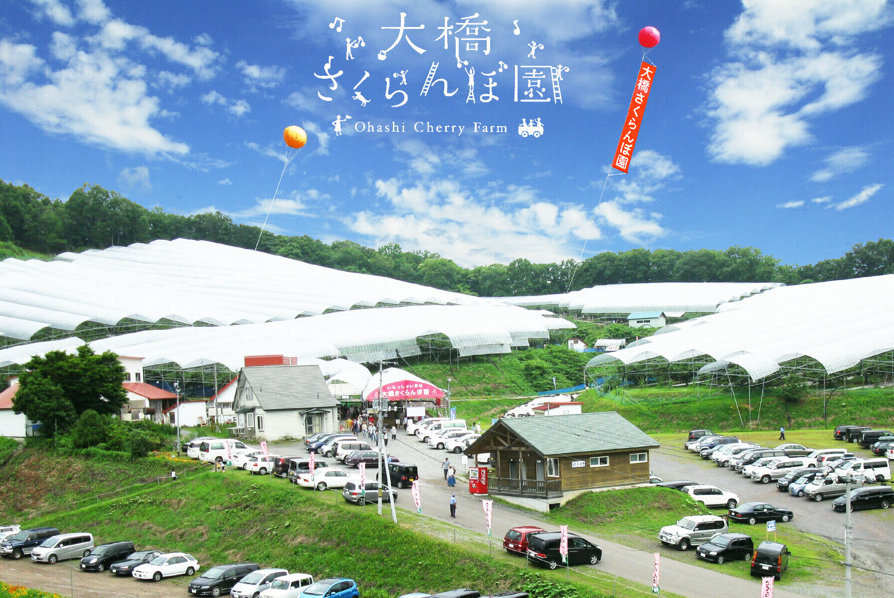 大橋さくらんぼ園