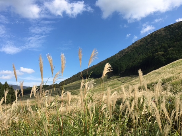 10％OFF【10月・11月限定】秋の味覚【松茸の土瓶蒸し】を味わう◆展望露天風呂で心を解きほぐす