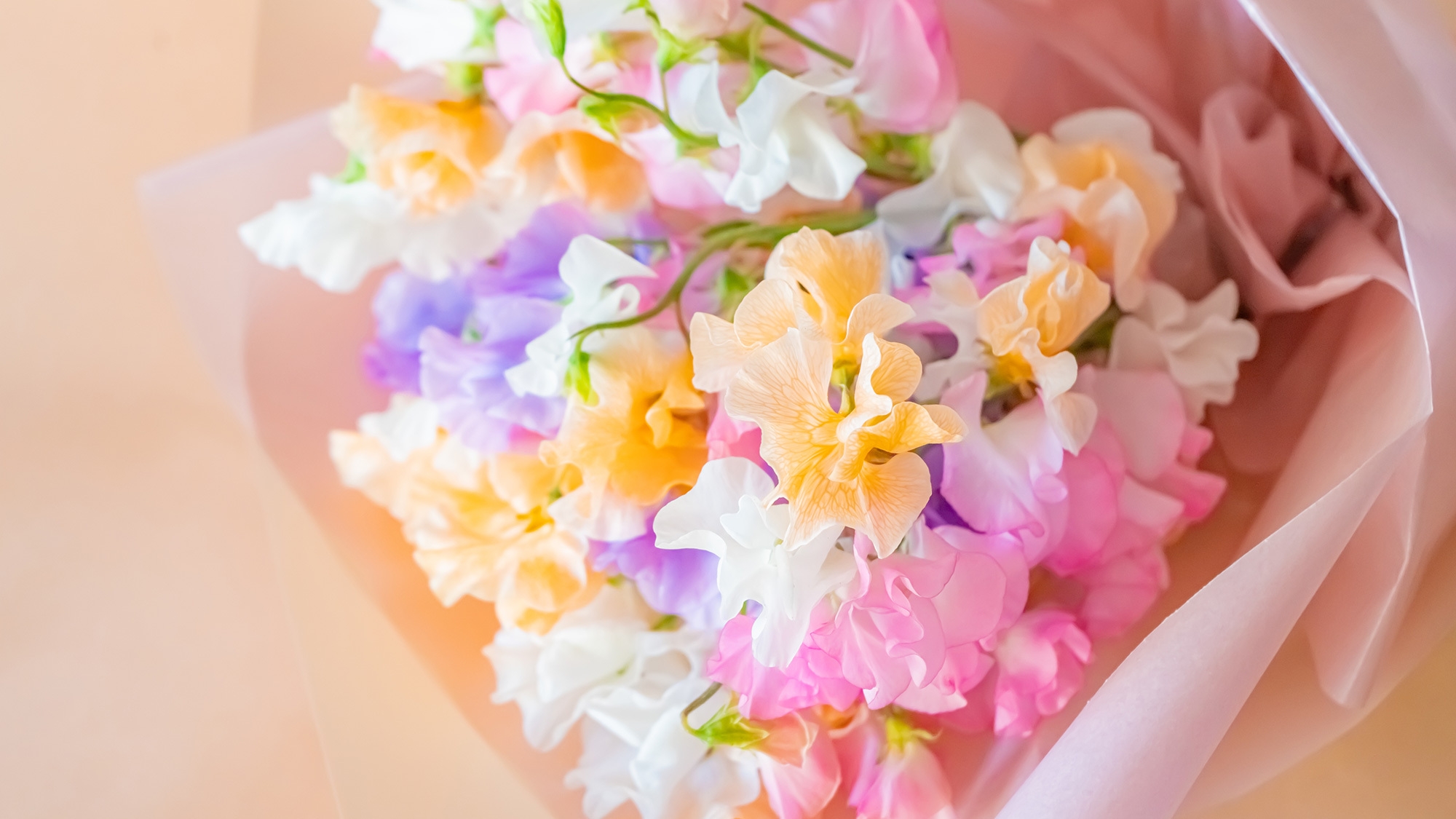 【結婚記念・ご長寿・快気祝いなど】ご家族の大切なお祝いを和乃オーベルジュで。／季節の花束＋ケーキ付き