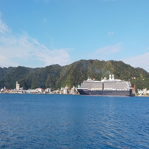 奄美ポートタワーホテルと外国大型客船