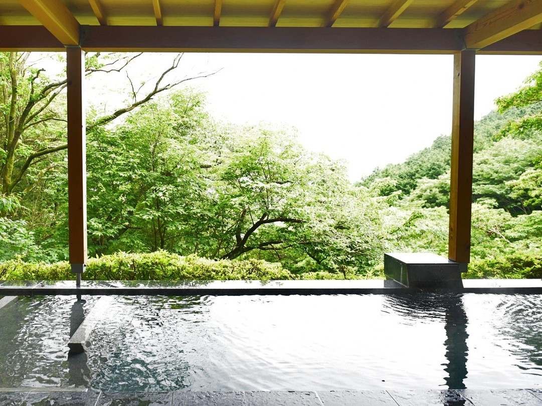 森の絶景露天風呂 熱海 森の温泉ホテル 宿泊プラン一覧 楽天トラベル