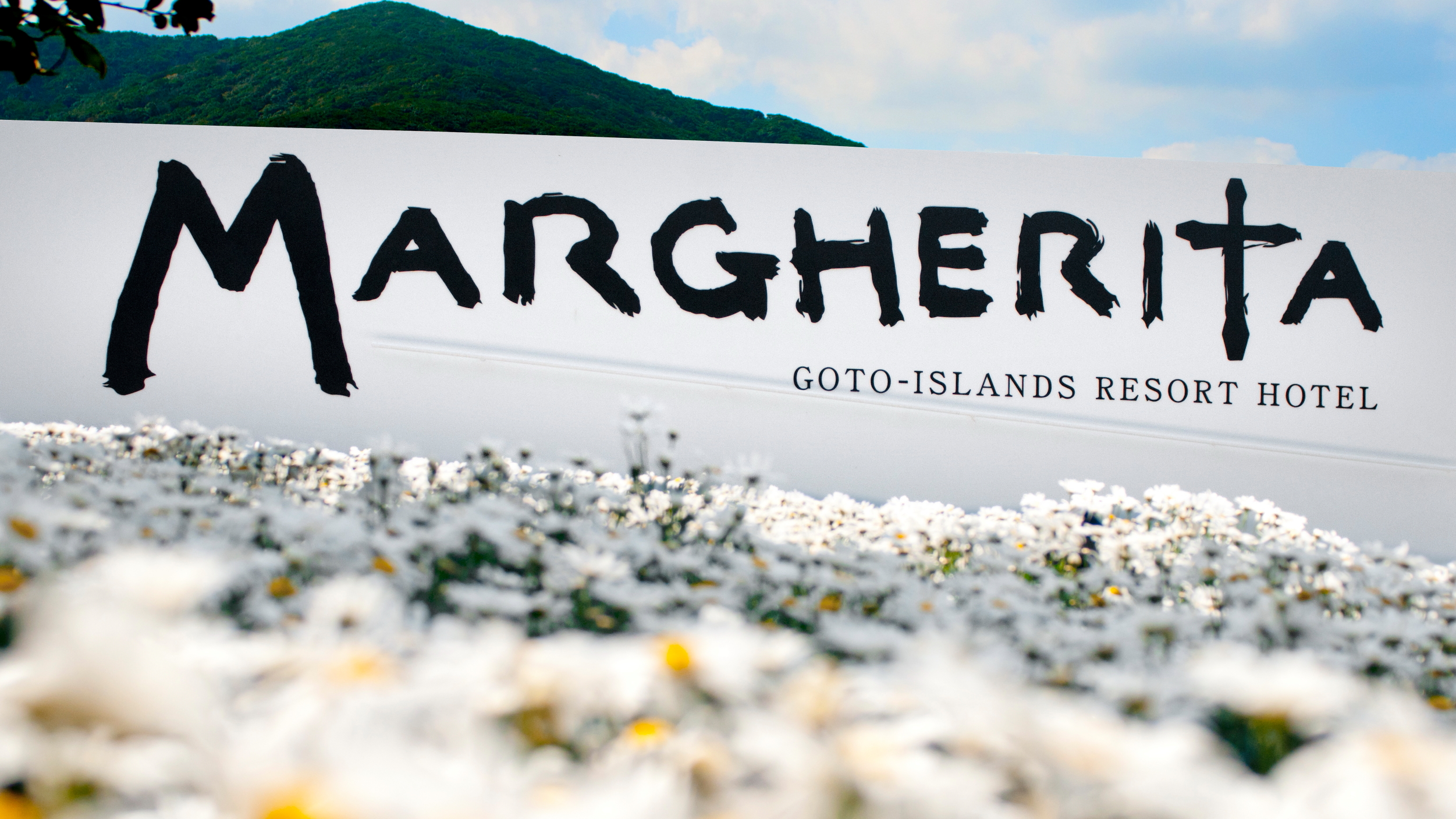 マルゲリータはイタリア語でマーガレットの花