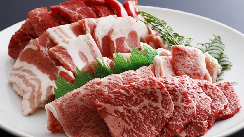 【姫セン入園券付-BBQ特選コース！-】ワンランク上の牛肉を堪能♪翌日は、姫センで遊び尽くす！